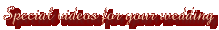 Special videos for your wedding